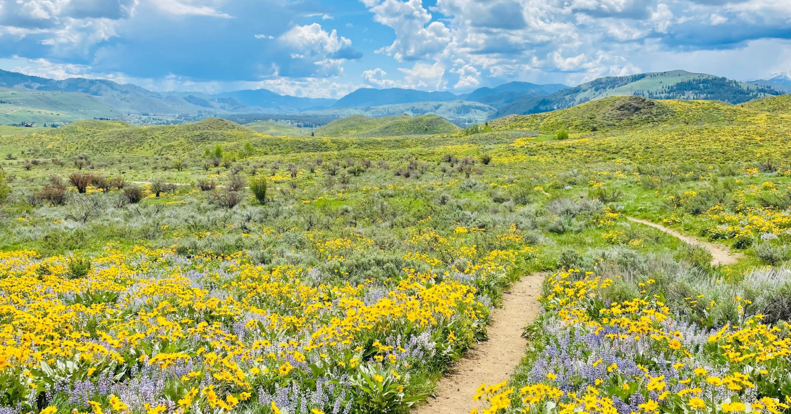 Methow Trails
