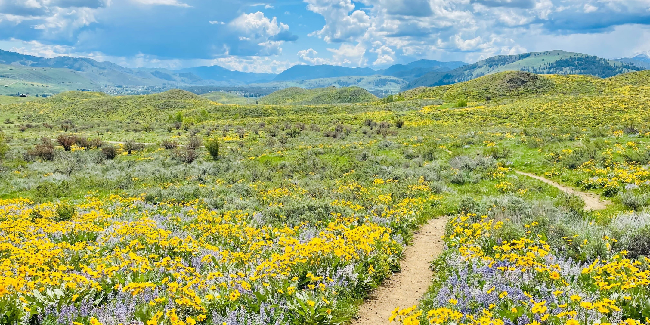 Spring in the Methow Valley
