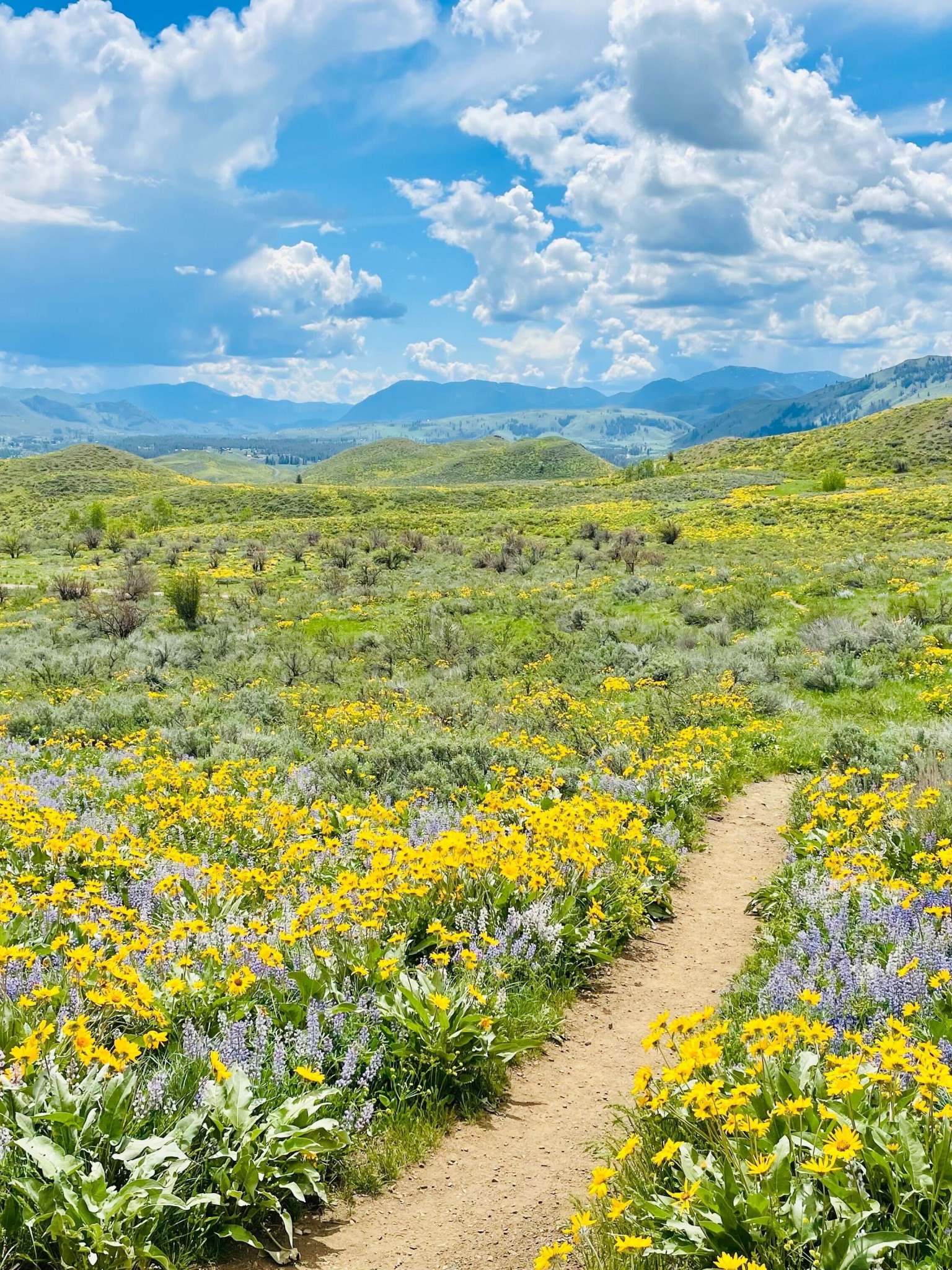 Spring in the Methow Valley