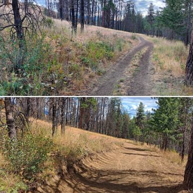 before and after trail tread leveling work on Sunnyside